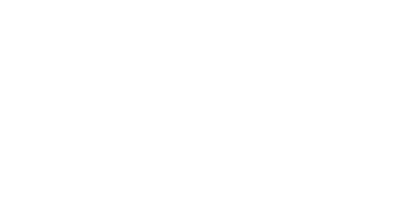 Logo 13