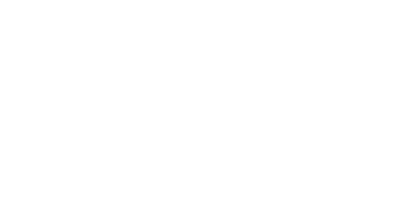 Logo 13